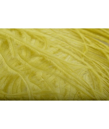 OSTRICH PLUMES PALE OLIVE